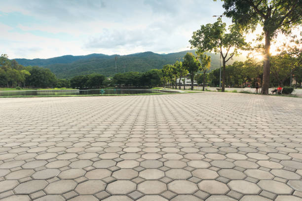 Best Best Driveway Pavers  in Thonotosassa, FL
